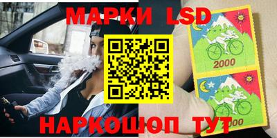 шишки Аргун
