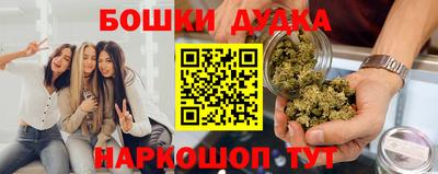 шишки Аргун