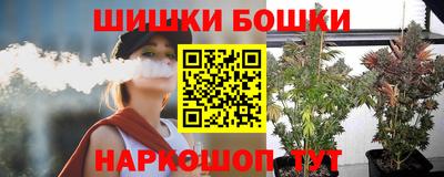 шишки Аргун
